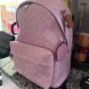 Coach Powder Pink Signature Small Taylor Backpack